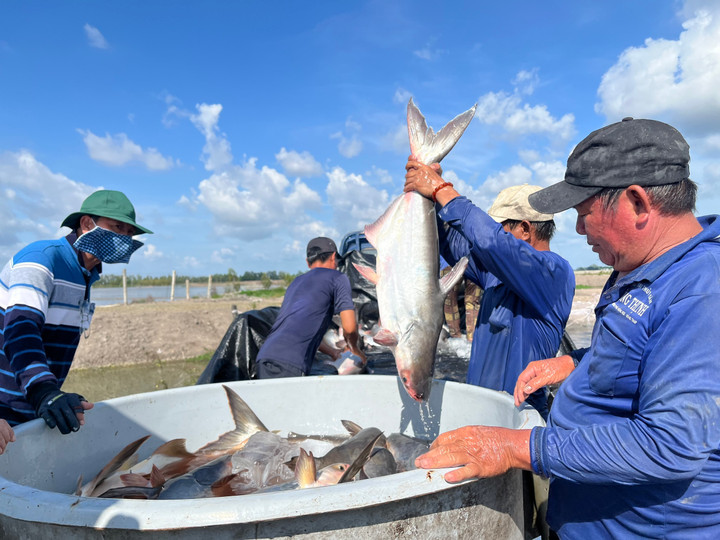 Co.opmart, Co.opxtra siêu ưu đãi những ngày cuối tuần - 4