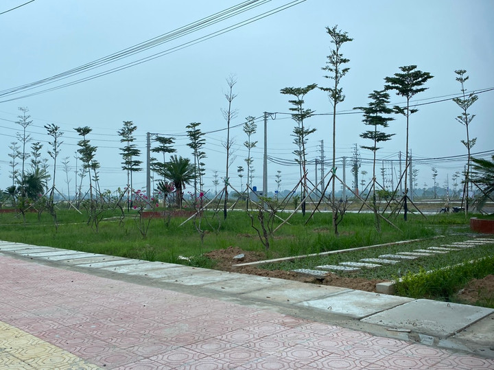 Hành lang cây xanh.