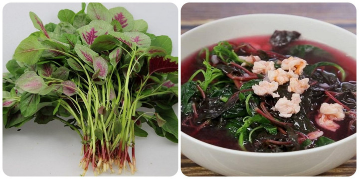 Rau dền rất tốt cho sức khoẻ.