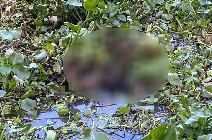 Thi thể trôi sông Vàm Cỏ Đông. (Ảnh: L.Đ)