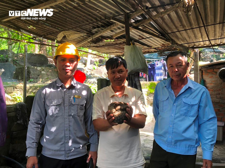 Lực lượng Khu Bảo tồn biển Cù Lao Chàm tiếp nhận con tê tê từ người dân. (Ảnh: Minh Lương)