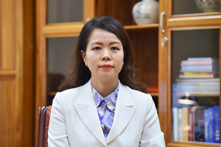 Thứ trưởng Nguyễn Minh Hằng. (Ảnh: Thế giới và Việt Nam)