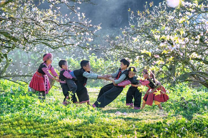 Đến Mộc Châu, du khách sẽ phải thích thú bởi có quá nhiều điểm tham quan, vui chơi chờ đón bạn khám phá.