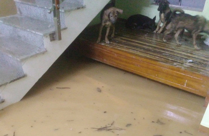 Dự báo từ 15 - sáng 14/11 mưa tại Quảng Trị có xu hướng tăng trở lại. (Ảnh: H.D)