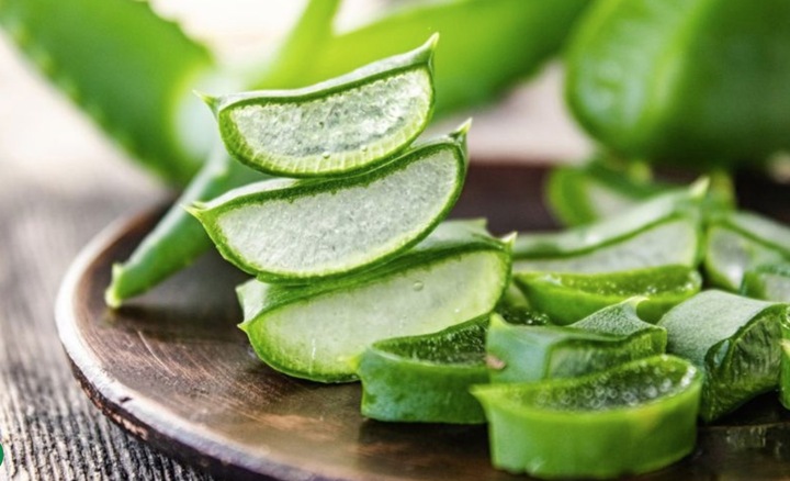 Nha đam điều trị nứt môi hiệu quả.