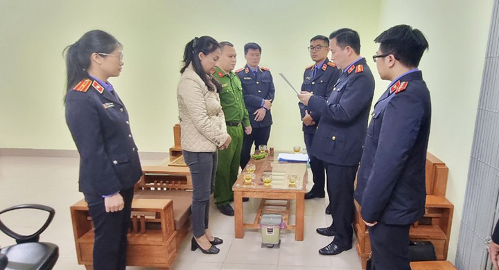 Cơ quan điều tra công bố lệnh bắt tạm giam Hoàng Thị Vân Anh.