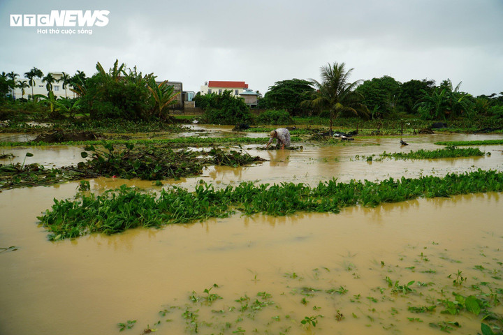 Dự áo trong 24h tới, Khánh Hòa có mưa to đến rất to.