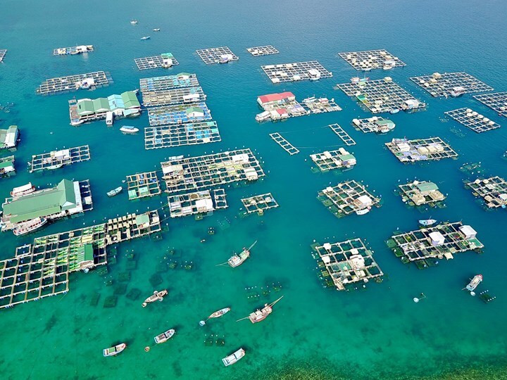 Nuôi tôm hùm ở Khánh Hòa. (Ảnh minh họa: Báo Ảnh Việt Nam)