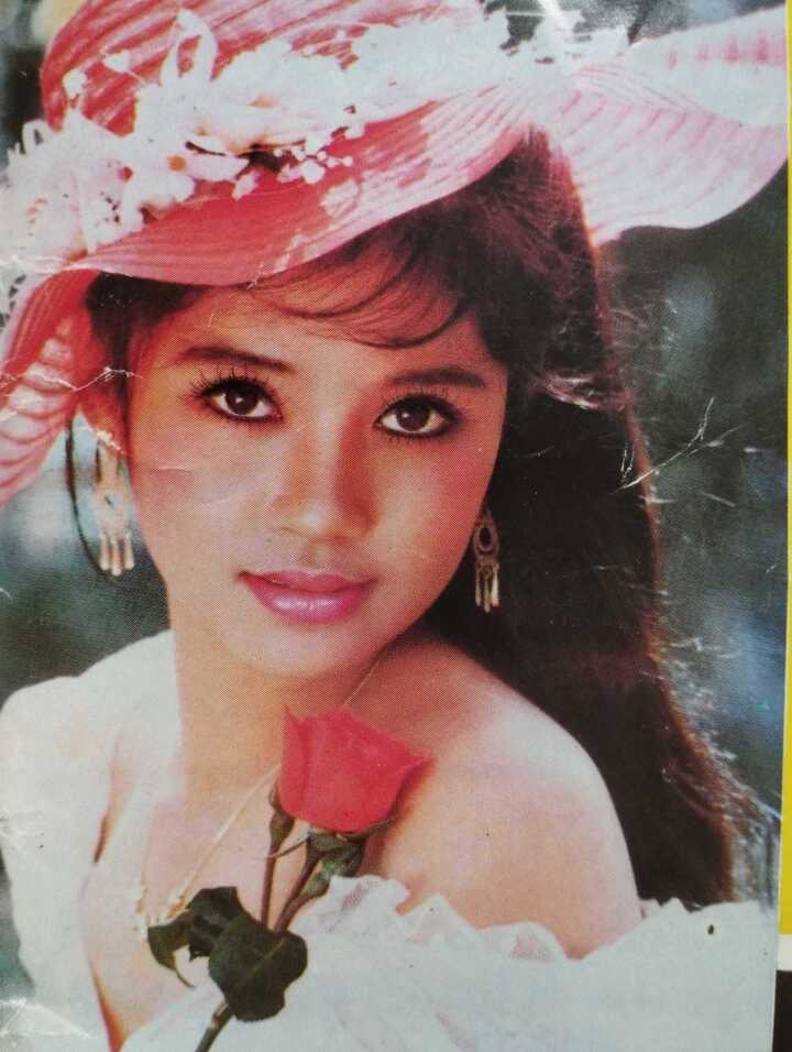 Việt Trinh là một trong những ngôi sao của điện ảnh Việt Nam thập niên 1990.