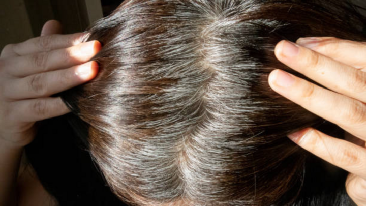 Không thiếu hụt những mẹo ấn tượng giúp cho bạn ngăn chặn hiện tượng tóc bạc sớm, tuy nhiên bạn phải kiên trì tiến hành mới nhất hiệu suất cao.  (Ảnh minh hoạ: Pixabay)