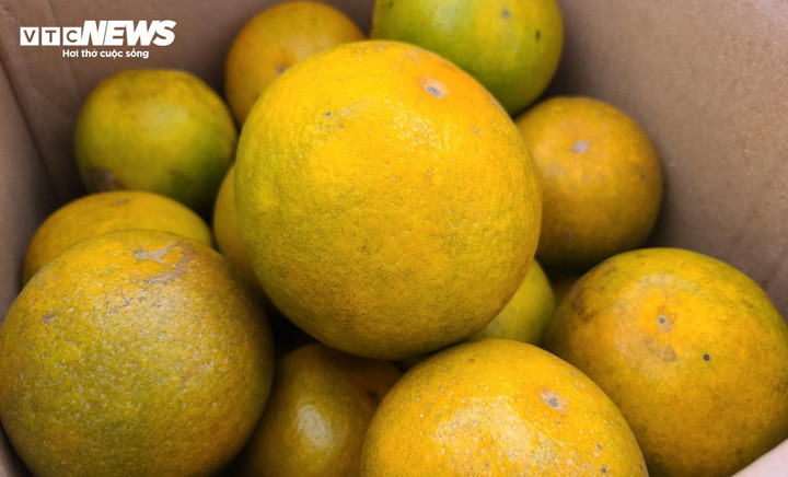 Thủ phủ cam Hà Tĩnh vào mùa, bán giá cao vẫn ‘cháy’ hàng - 7