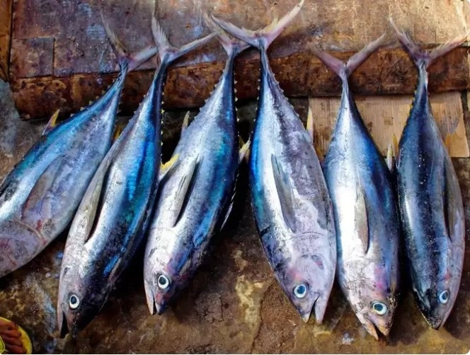 Đậu và các loại đậu: Đậu, các loại đậu và cá rất giàu protein sẽ dẫn đến đầy hơi và chướng bụng khi ăn cùng nhau.