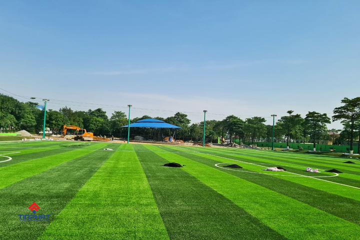 Rải lớp hạt cao su.