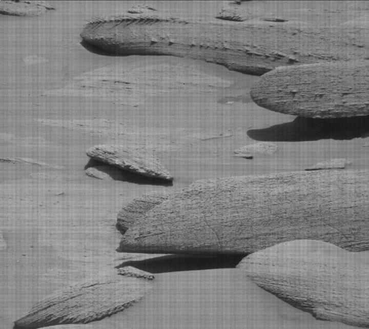 Hình ảnh thô được chụp từ thiết bị Mast Cam của Curiosity Rover. (Ảnh: NASA)