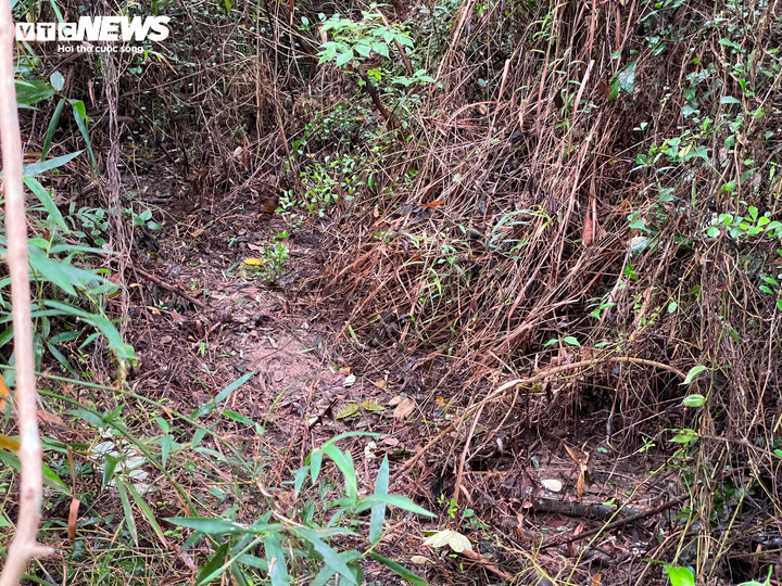 Vị trí cháu An ngồi dưới khe nước đã cạn được mọi người tìm thấy.