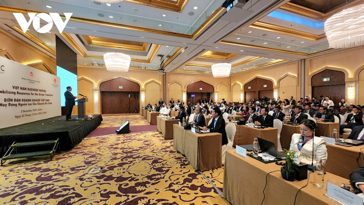 Thủ tướng Phạm Minh Chính dự Diễn đàn 'Huy động nguồn lực cho chuyển đổi xanh' - 6