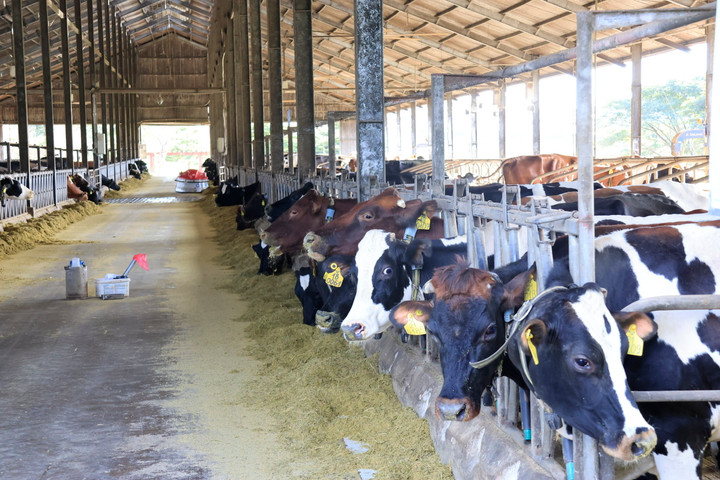 Ứng dụng trí tuệ nhân tạo trong sản xuất tin, bài - 3