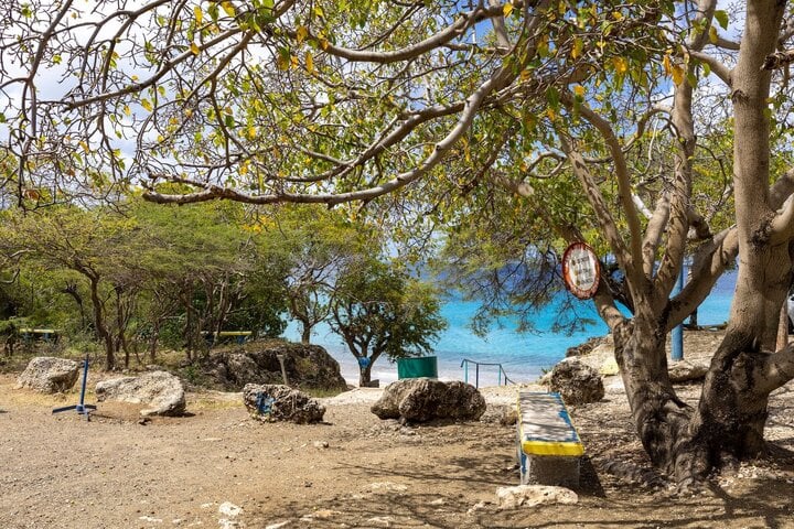 Cây manchineel với biển cảnh báo trên đảo Curacao thuộc vùng Caribe. (Ảnh: nathab)