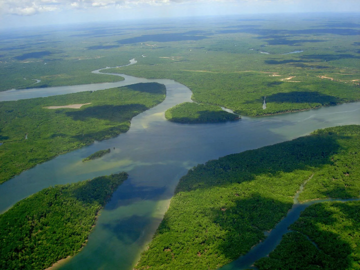 Trong mùa khô, từ tháng 6 đến tháng 11, chiều rộng trung bình của sông Amazon từ 3,2 đến 9,6 km, tùy thuộc vào vị trí. Tuy nhiên, trong mùa mưa, từ tháng 12 đến tháng 4 năm sau, nước dâng cao khiến chiều rộng sông Amazon lên tới 48 km. (Ảnh: britannica)