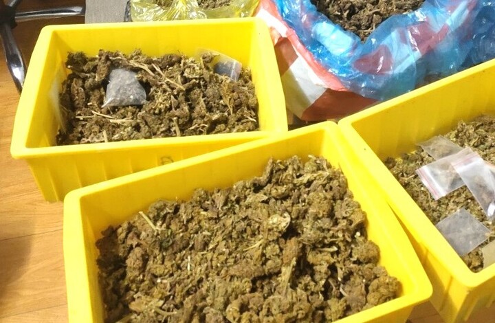Số cần sa Trọng mua về để bán cho con nghiện.
