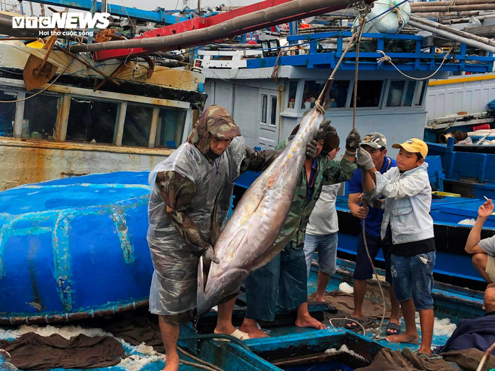 Ông Thiên vừa vào bờ sau 60 ngày vươn khơi.