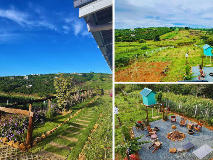 Khu vườn nhỏ của gia đình ca sĩ Hoàng Lê Vi.