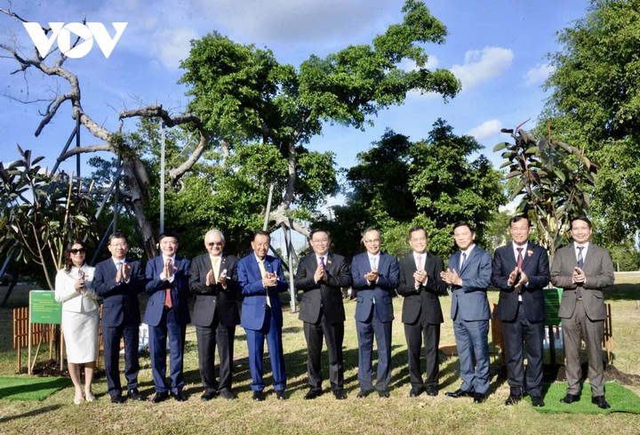 Chủ tịch Quốc hội Vương Đình Huệ và Chủ tịch Quốc hội, Chủ tịch Hạ viện Thái Lan Wan Muhamad Noor Matha đã cùng trồng cây Đa Búp Đỏ được mang từ Việt Nam.