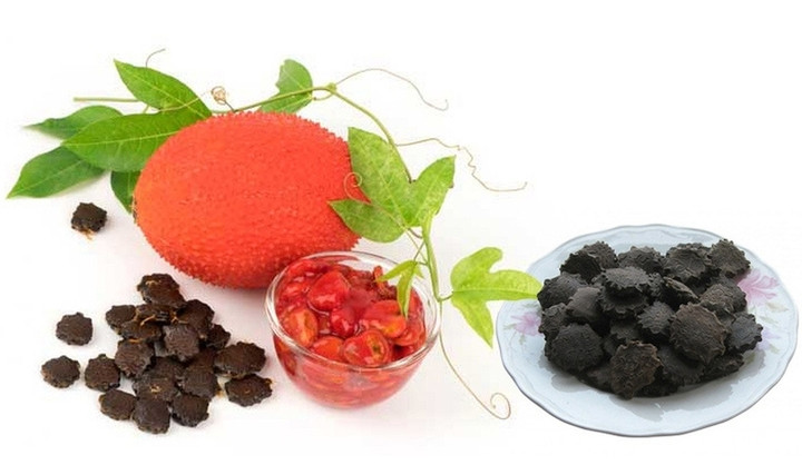 Phần giá trị nhất của quả gấc nằm ở hạt gấc, thế nhưng nhiều người không biết nên thường vứt đi. ( Ảnh: Pinterest)