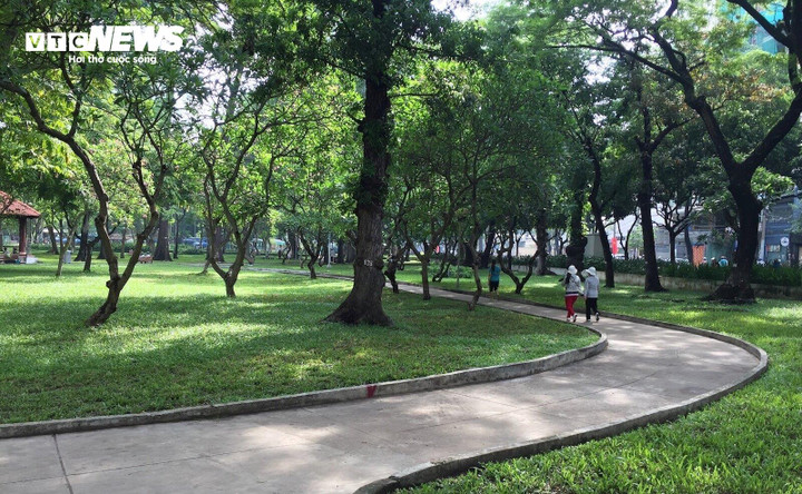 Tỷ lệ cây xanh công cộng tại TP.HCM thấp nhất trong các đô thị của cả nước. (Ảnh: Đ.V)
