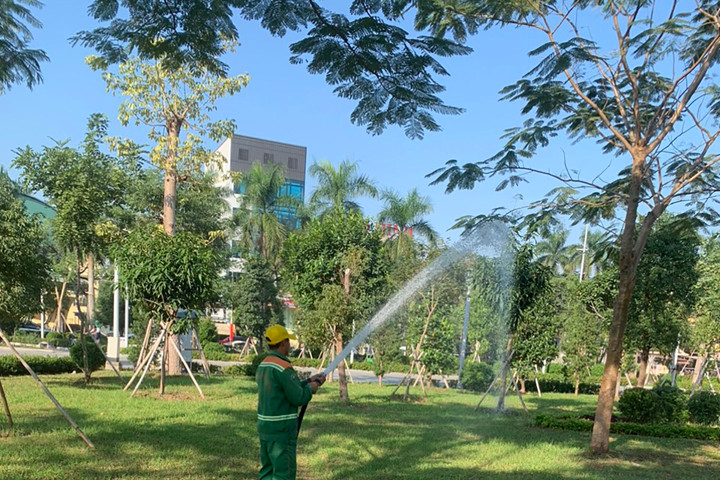 Công nhân chăm sóc vườn hoa, cây xanh trên dải trung tâm TP Hải Phòng.