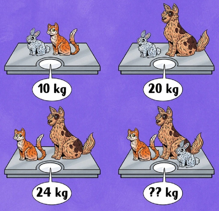 Bạn hãy điền số kg thích hợp thay vào vị trí dấu hỏi nhé.