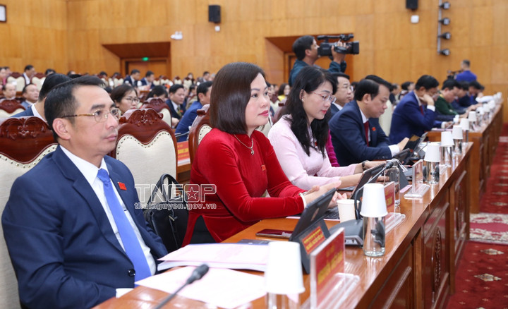 Các đại biểu tham dự kỳ họp. (Ảnh: thainguyen.gov.vn)