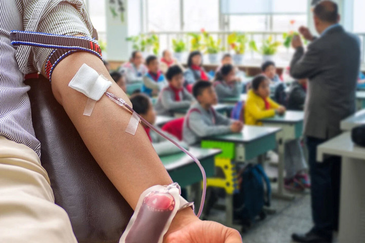 Việc phụ huynh hiến máu để con có thêm cơ hội vào học trường công là có thật.