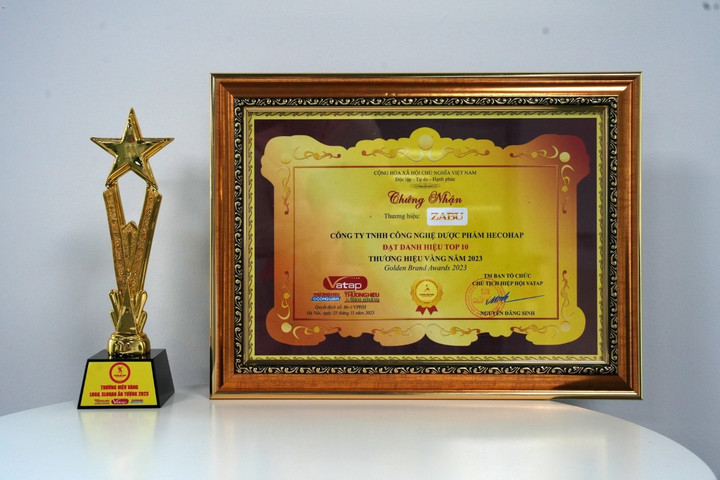 Cúp và giấy chứng nhận Top 10 Thương hiệu Vàng do đơn vị Hiệp hội VATAP trao tặng.