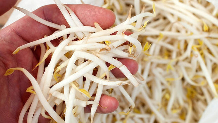 Giá đỗ là loại thực phẩm nảy mầm cực tốt cho sức khỏe.