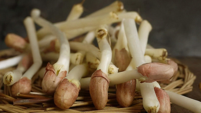 Củ lạc loại thực phẩm nảy mầm cực tốt cho sức khỏe.