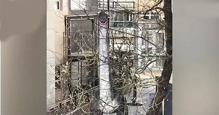 Đồng Nam thường giật mình và rất bất an khi thấy con khủng long có cái cổ rất dài này há miệng hướng về phía cửa sổ nhà mình. (Ảnh: Sohu)