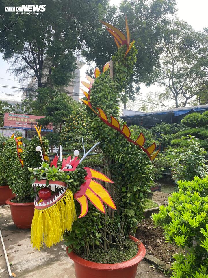 Rồng quất dáng đứng.