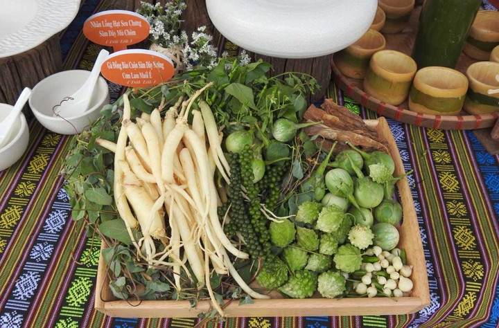 Cây dược liệu đặc sản của huyện Tu Mơ Rông.