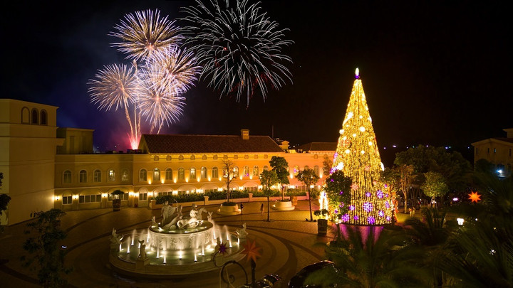 1001 khoảnh khắc yêu thương tại Lễ thắp sáng Cây thông Ngàn sao - 10