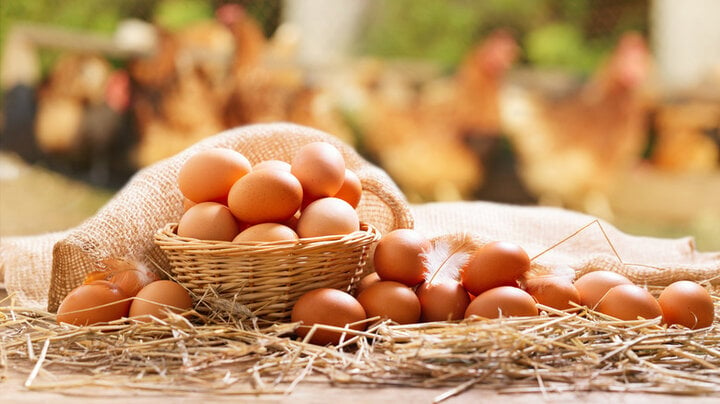 Khi mua trứng, chúng ta không cần quá chú trọng đến kích thước to nhỏ của quả trứng mà nên chú trọng đến độ tươi và chất lượng của quả trứng. (Ảnh: Tasting Table)