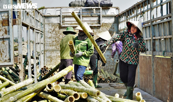 Nếu muốn có một điểm tựa lúc ốm đau, tai nạn thì người dân nên tham gia BHXH và BHYT tự nguyên. (Ảnh: Trọng Tùng)