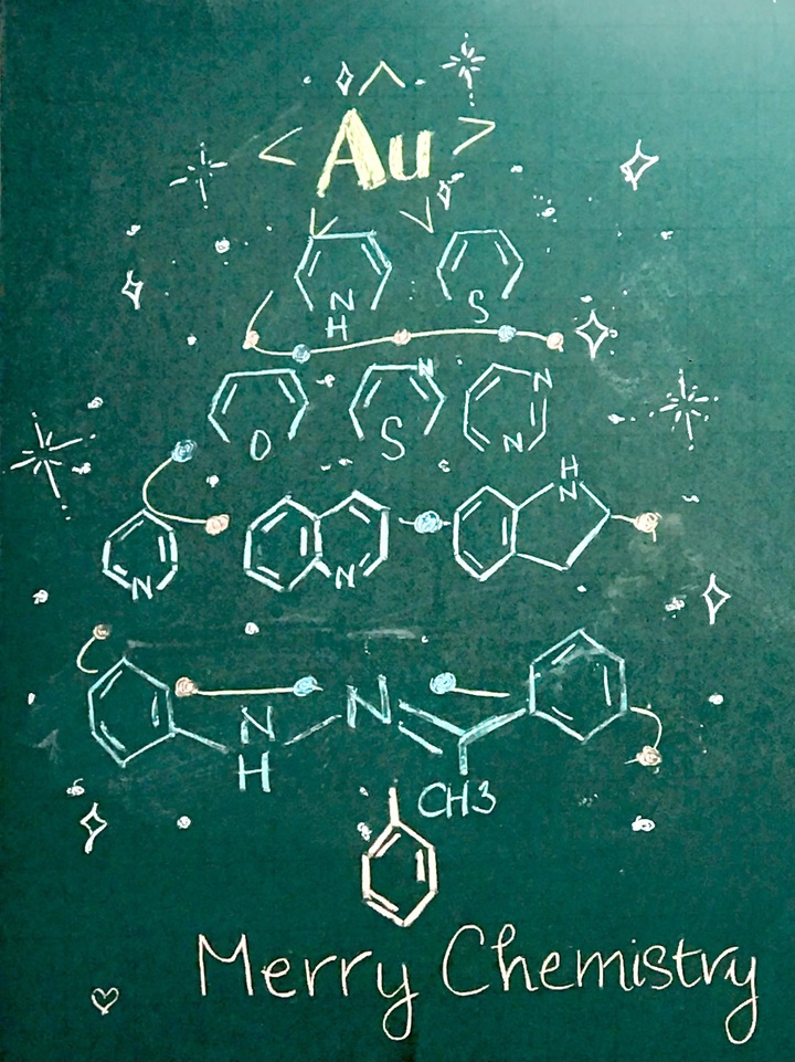 Độc đáo 'trend' làm cây thông Noel bằng công thức Toán, Lý, Hóa của giới trẻ - 2