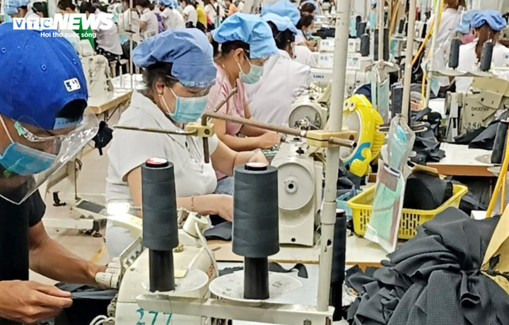 Doanh nghiệp hậm, trốn đóng BHXH khiến người lao động chịu thiệt.