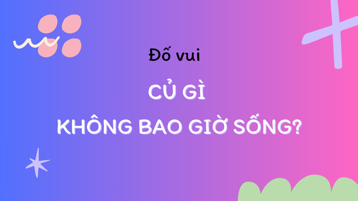 Bạn có biết đây là củ gì không?