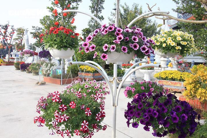 Tháng 11/2014, thể theo nguyện vọng của phật tử và Nhân dân xóm Đồng Tràng, xã Quang Phục đã làm đơn đề nghị các cấp chính quyền và Giáo hội cho phép địa phương xin thỉnh sư thầy Thích Nữ Viên Thuần về trụ trì.