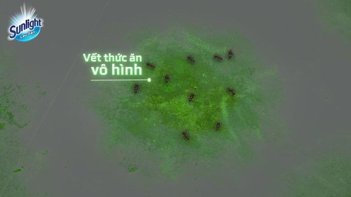 Lau nhà hàng ngày với Sunlight Lau Sàn BIOSHIELD giúp lớp màn chắn sinh học thêm vững chắc, gia tăng hiệu quả ngăn côn trùng lên đến 24h.