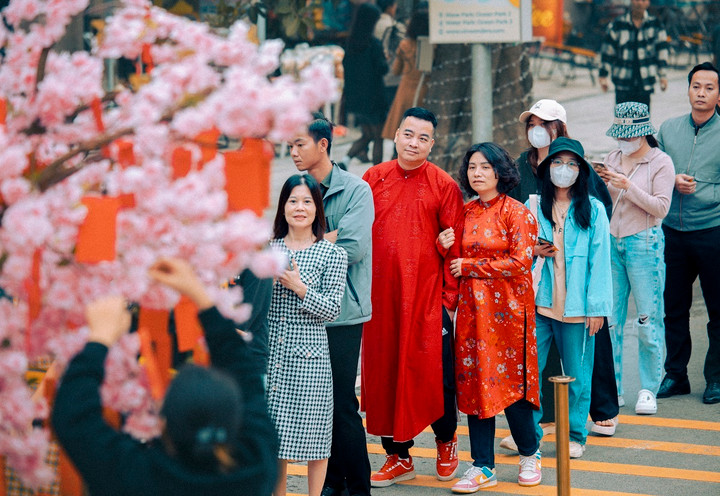 Cây đào với hàng nghìn bao lì xì là các voucher ưu đãi thu hút đông đảo du khách đến check-in và hái lộc đầu năm.