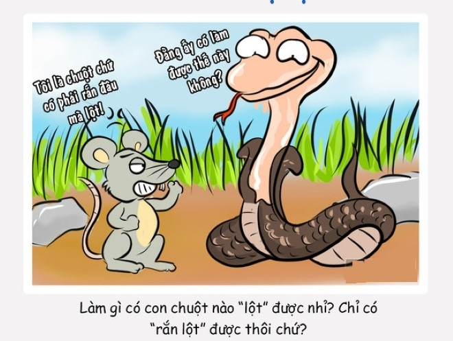 Người thông minh chỉ cần 30 giây để trả lời 6 câu thành ngữ này - 2