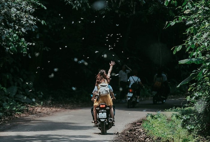 “Phượt đôi” rừng Cúc Phương mùa bướm về - đẹp như một giấc mơ.